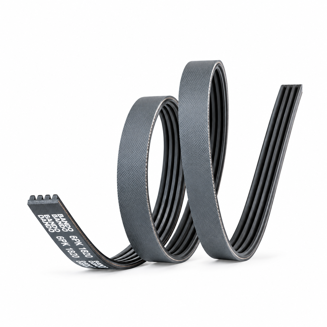 Poly V Belt