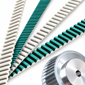 Timing Belt