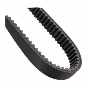 Raw Edge V Belt